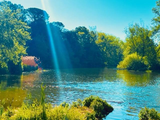 Cal Carreter Villa Foixá Dış mekan fotoğraf